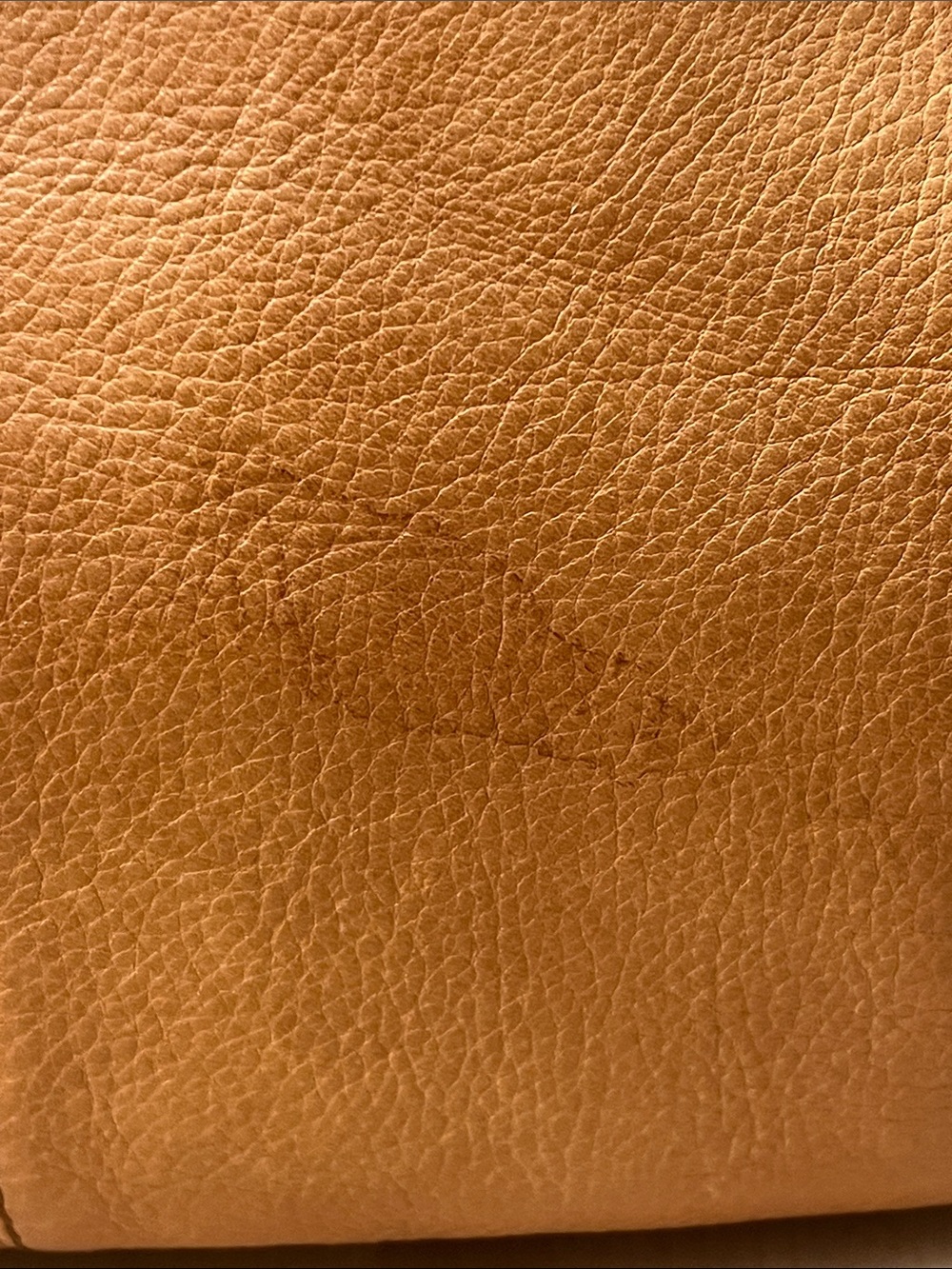 American Leather Co. Tan Light Brown Backpack Book Bag Purse - Picture 5 of 16